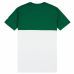 TS H 12061863 VERT/BLANC