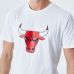 TS H 12195402 BULLS