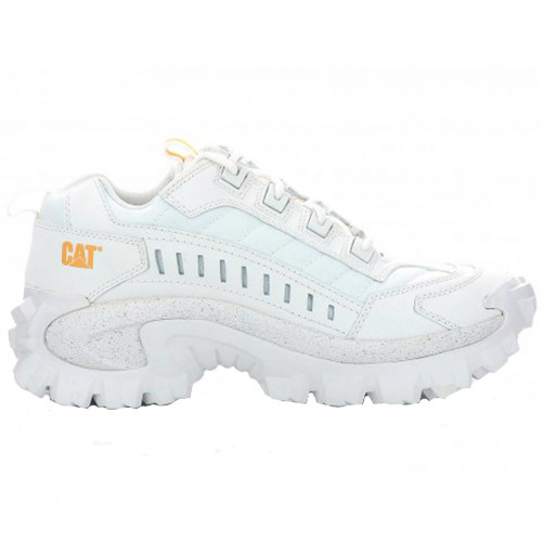 caterpillar blanche