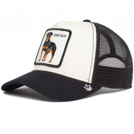 Casquette homme Doberman