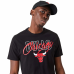 Tee shirt homme Chicago Bulls noir 60332180