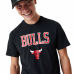 TS H 60357049 BULLS