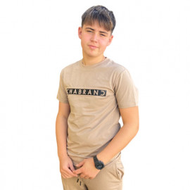 Tee shirt homme Chabrand Taupe 60202 451