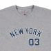 TS H 11517748 GRIS NY